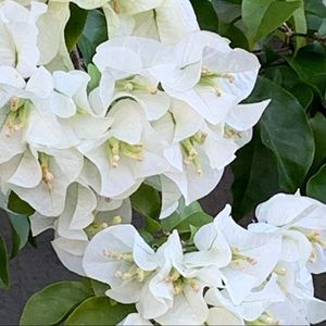 Meet your Posher, Marilena